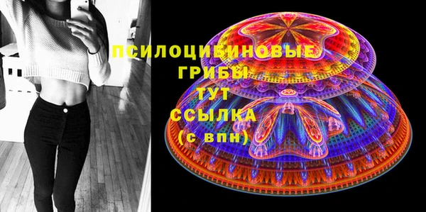марки nbome Ельня