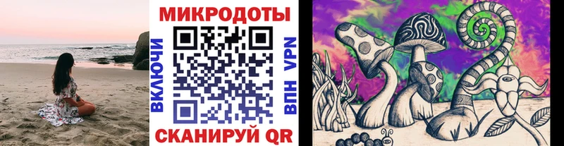 Галлюциногенные грибы Magic Shrooms  Купить закладки  Надым 